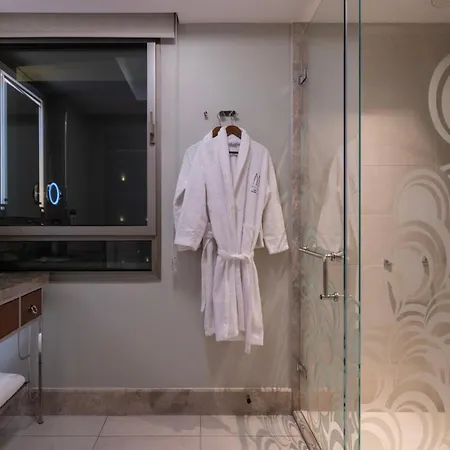 Hotel The Artisan - Mgallery Collection Provincia di Istanbul